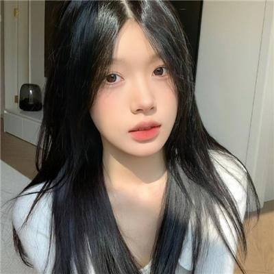 企鹅之岛：福克兰